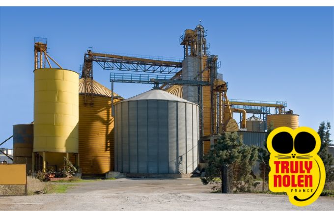 Découvrez les solutions de dératisation et lutte anti nuisibles de Truly Nolen France
