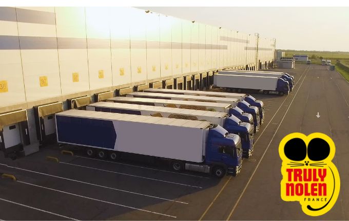 Découvrez nos solutions de désinsectisation et dératisation pour les professionnels de grande distribution.
