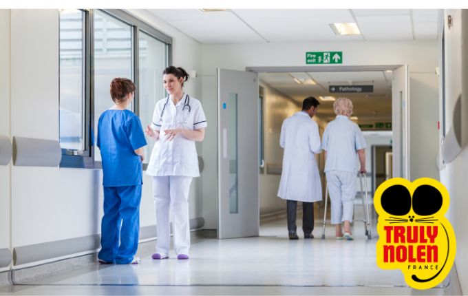 Dératisation efficace contre les nuisibles dans les hôpitaux, cliniques, centres de santé pour assurer la sécurité de vos patients