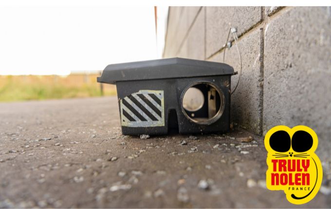 Dératisation de votre immeuble par nos experts, intervention rapide en IDF.
