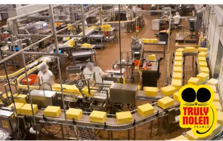 S&eacute;curisation Anti-Rongeurs pour Sites Agro-Logistiques