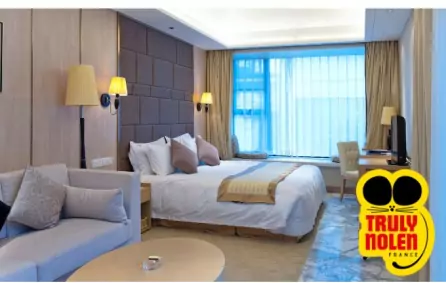 Dératisation hôtels