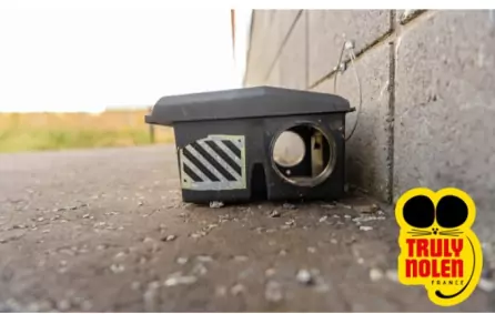 Dératisation en Copropriété