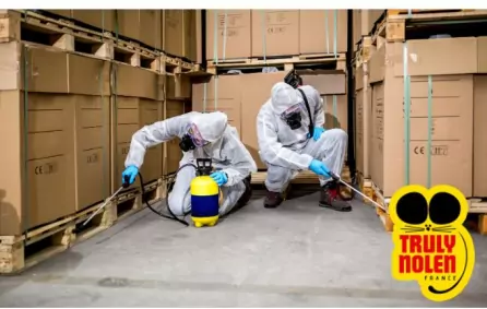 Infestation de rats dans les entrepôts