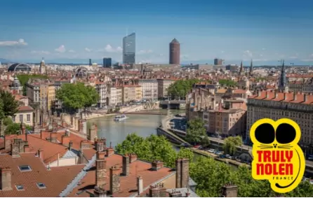 Invasion des rats à Lyon Rhône