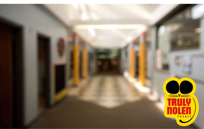 Désinfection professionnelle école et milieu scolaire - Contactez nos experts du nettoyage