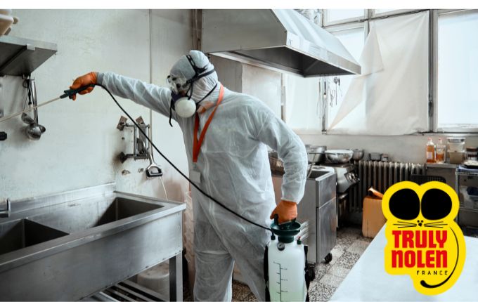 Spécialiste de la désinfection et traitement anti bactérie et germes dans une cuisine professionnelle