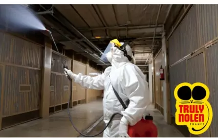 Gestion des nuisibles et désinfection Seine-Saint-Denis