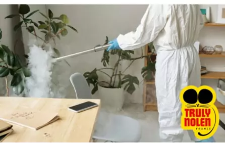 Désinfection en Seine-et-Marne