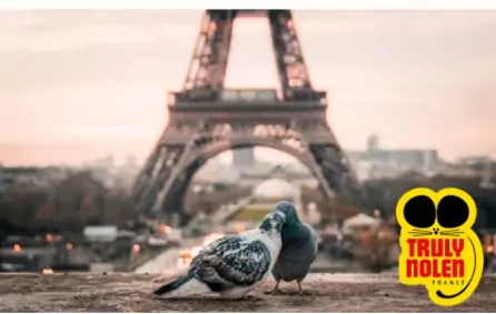 Depigonnage Paris et île de France