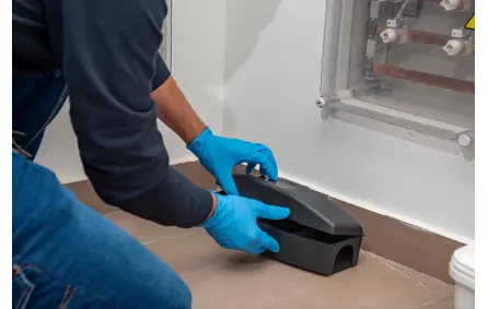 Guide Responsabilit&eacute; Infestations: Bailleur, Locataire, Syndic